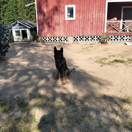 Sammalinen Jyväskylä