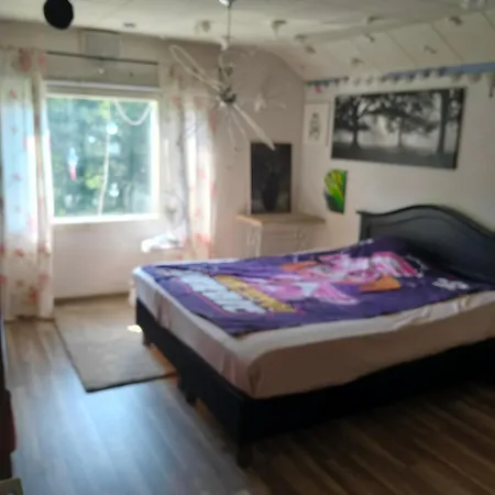 Sammalinen Jyväskylä