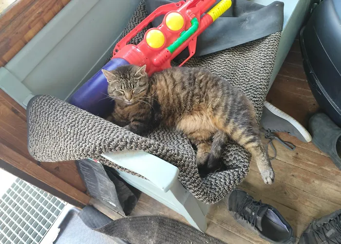 Sammalinen Séjour à la ferme