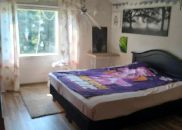 Sammalinen Jyväskylä